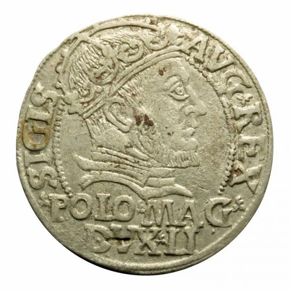 Grosz litewski na stopę polską 1546 Zygmunt August Wilno (1)