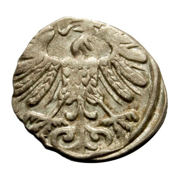 Denar 1558 Zygmunt II August Wilno (2)