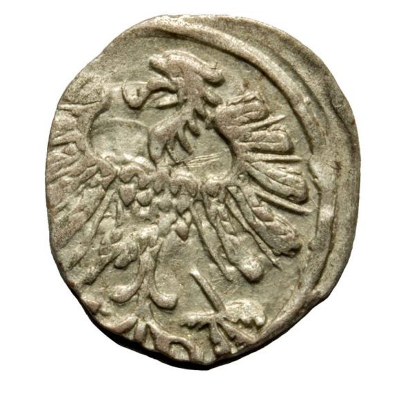 Denar 1558 Zygmunt II August Wilno (2)
