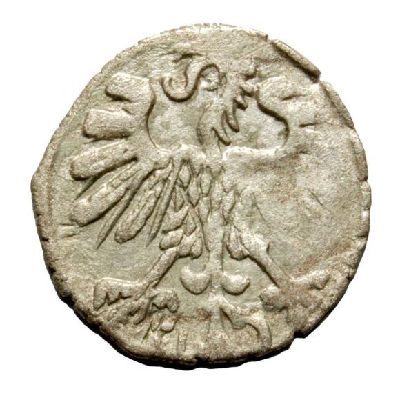 Denar 1559 Zygmunt II August Wilno (2)