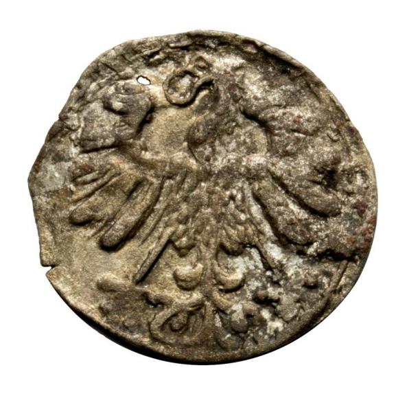 Denar 1559 Zygmunt II August Wilno (2)