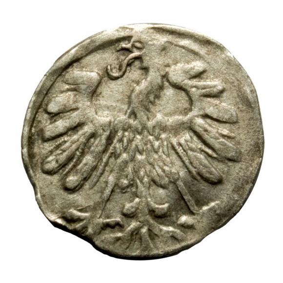Denar 1559 Zygmunt II August Wilno (2)