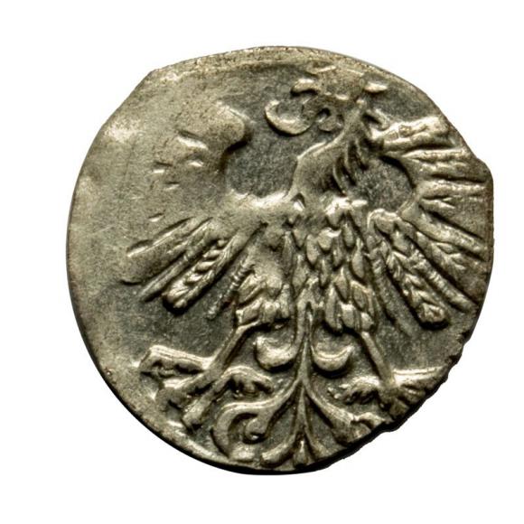 Denar 1559 Zygmunt II August Wilno (2)