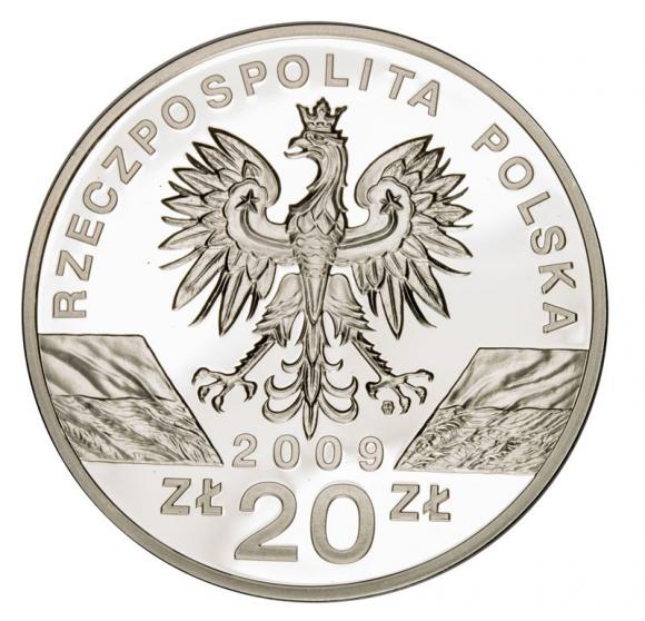 20 zł 2009 Jaszczurka Zielona (2)