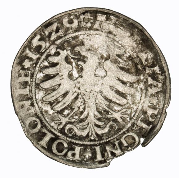 Grosz 1529 Zygmunt I Stary Kraków (2)