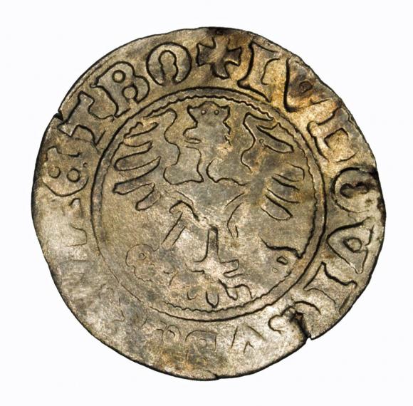 Półgrosz 1526 Ludwik I Jagiellończyk Świdnica (2)