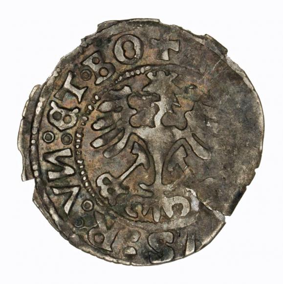 Półgrosz 1526 Ludwik I Jagiellończyk Świdnica (2)