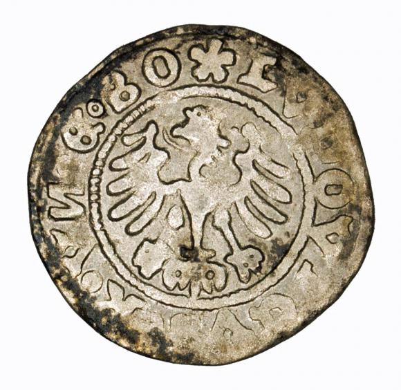 Półgrosz 1526 Ludwik I Jagiellończyk Świdnica (2)