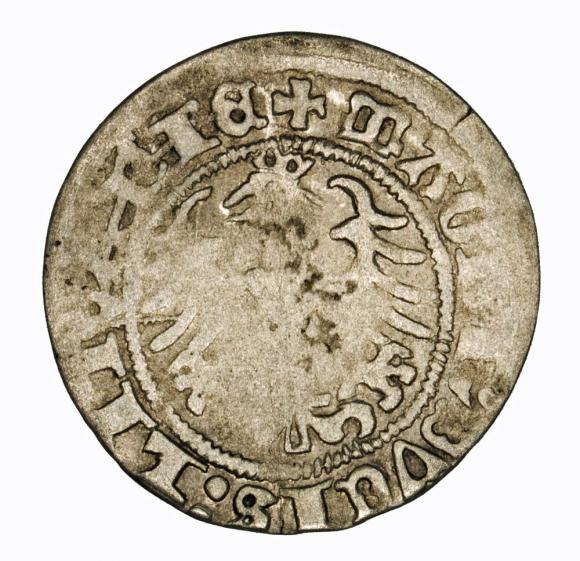 Półgrosz 1514 Zygmunt I Stary Wilno (2)