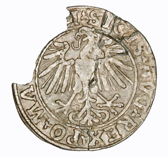 Półgrosz 1548 Zygmunt II August Wilno (2)