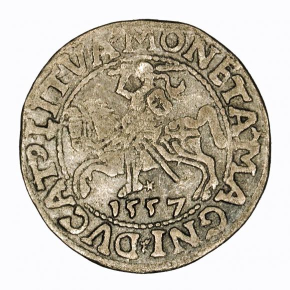 Półgrosz 1557 Zygmunt II August Wilno (1)