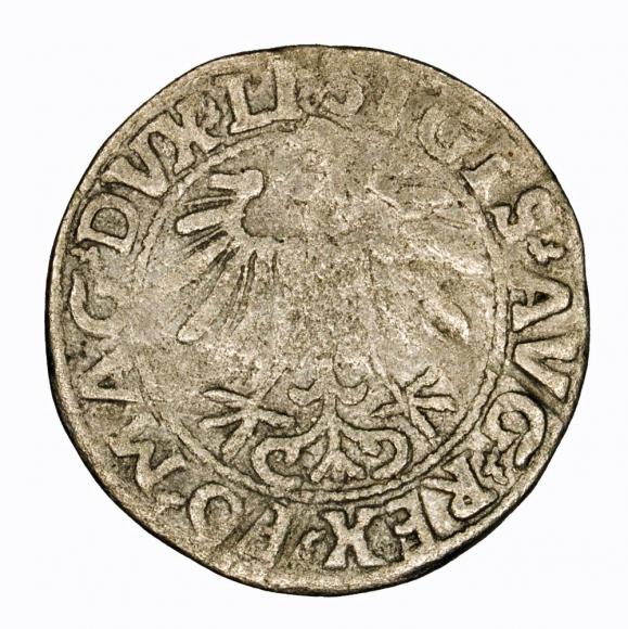 Półgrosz 1557 Zygmunt II August Wilno (2)