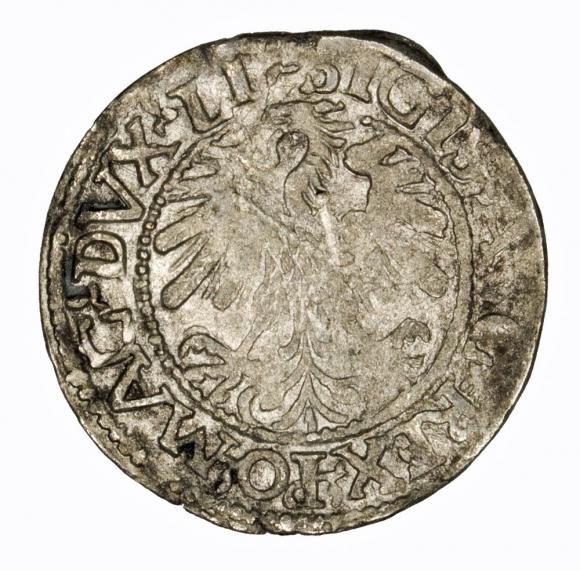 Półgrosz 1559 Zygmunt II August Wilno (2)