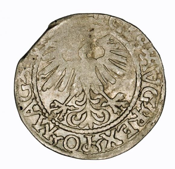 Półgrosz 1560 Zygmunt II August Wilno (2)
