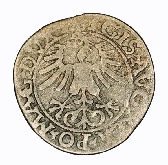 Półgrosz 1561 Zygmunt II August Wilno (2)