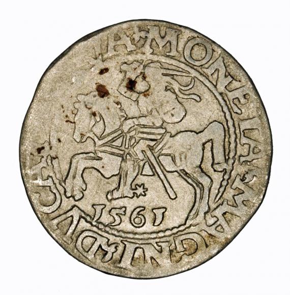 Półgrosz 1561 Zygmunt II August Wilno (1)