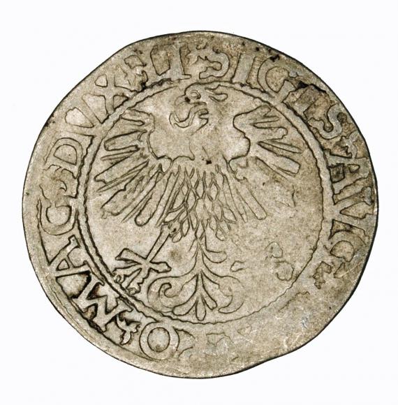 Półgrosz 1561 Zygmunt II August Wilno (2)