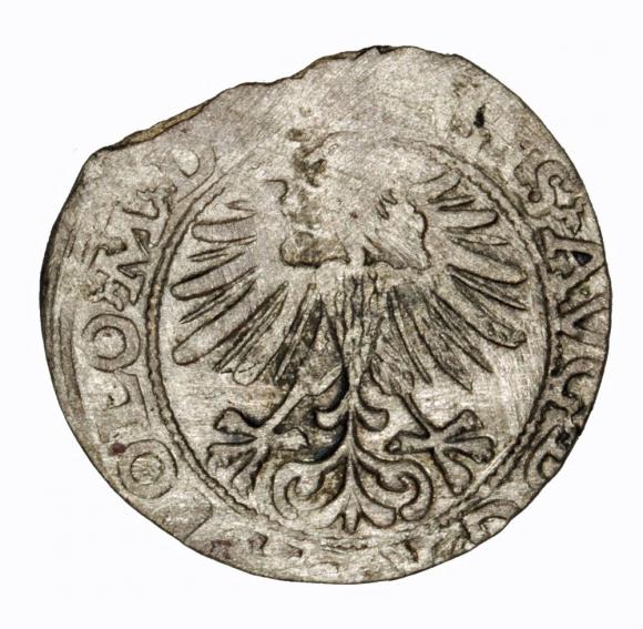 Półgrosz 1563 Zygmunt II August Wilno (2)