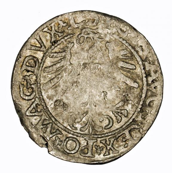 Półgrosz 1563 Zygmunt II August Wilno (2)
