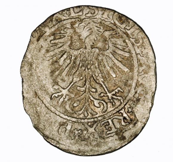 Półgrosz 1561 Zygmunt II August Wilno (2)