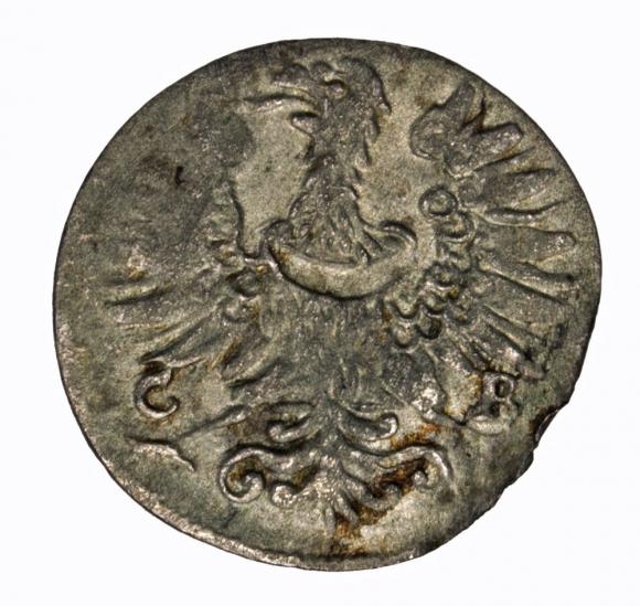 Greszel 1673 Ludwika Anhalcka Księstwo Brzesko Legnicko Wołowskie Brzeg (2)
