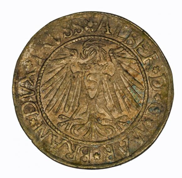 Grosz 1539 Albrecht Hohenzollern Księstwo Pruskie Królewiec (2)
