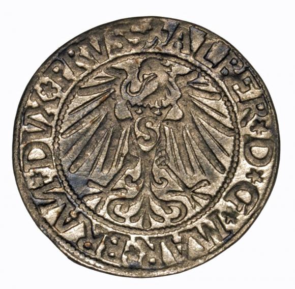 Grosz 1544 Albrecht Hohenzollern Księstwo Pruskie Królewiec (2)
