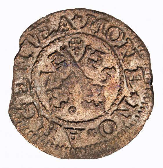 Szeląg 1575 Wolne Miasto Ryga (1)