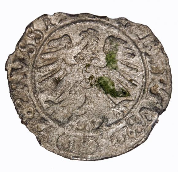 Szeląg 1557 Albrecht Hohenzollern Księstwo Pruskie Królewiec (2)