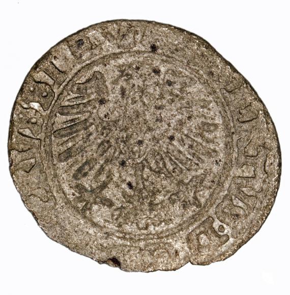 Szeląg 1559 Albrecht Hohenzollern Księstwo Pruskie Królewiec (2)