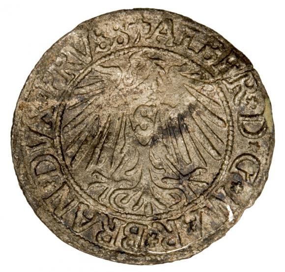 Grosz 1542 Albrecht Hohenzollern Księstwo Pruskie Królewiec (2)
