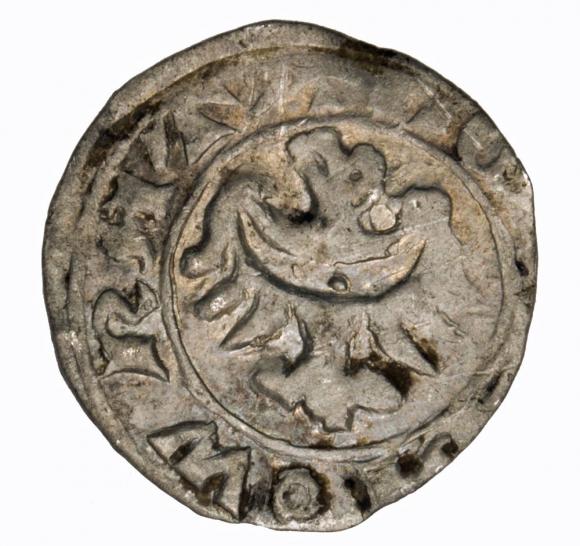 Halerz 1346-1378 Karol I Księstwo Wrocławskie Wrocław (2)