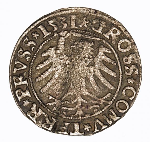 Grosz pruski 1531 Zygmunt I Stary Toruń (2)