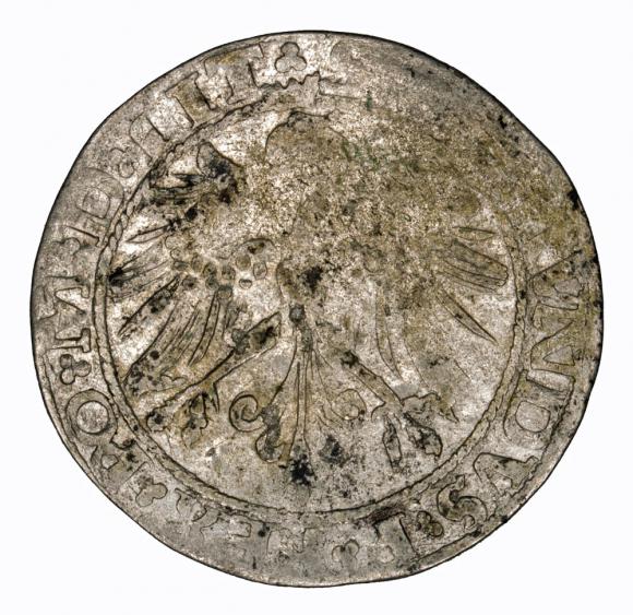 Grosz 1535 Zygmunt I Stary Wilno (1)
