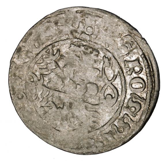 Grosz praski Władysław II Jagiellończyk Czechy (2)