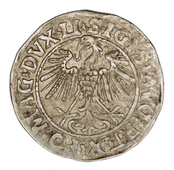 Półgrosz 1547 Zygmunt II August Wilno (2)