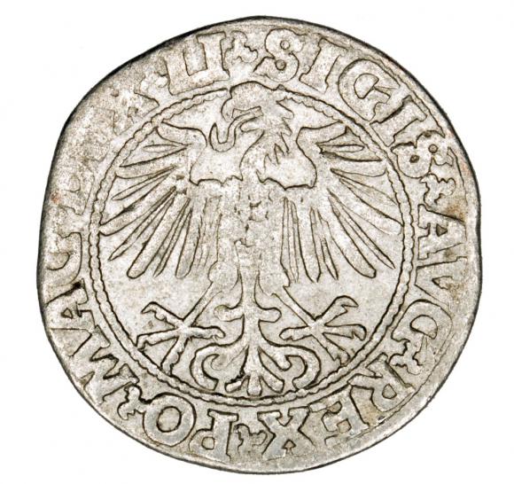 Półgrosz 1548 Zygmunt II August Wilno (2)