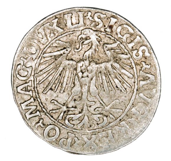 Półgrosz 1548 Zygmunt II August Wilno (2)