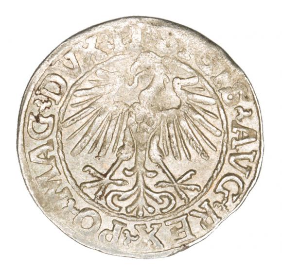 Półgrosz 1548 Zygmunt II August Wilno (2)