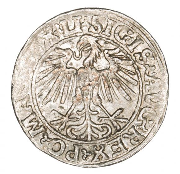 Półgrosz 1548 Zygmunt II August Wilno (2)