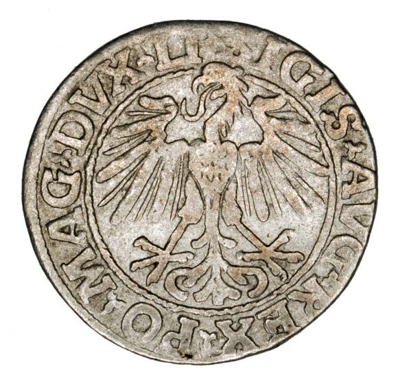 Półgrosz 1548 Zygmunt II August Wilno (2)