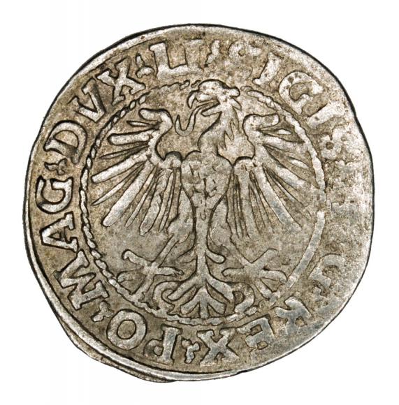 Półgrosz 1548 Zygmunt II August Wilno (2)