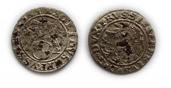 Szeląg pruski 1531 Albrecht Hohenzollern Księstwo Pruskie Królewiec (1)