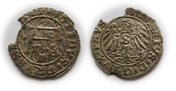 Szeląg pruski 1529 Albrecht Hohenzollern, Księstwo Pruskie Królewiec (1)