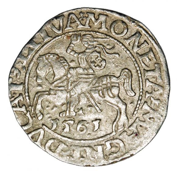 Półgrosz 1561 Zygmunt II August Litwa Wilno (1)