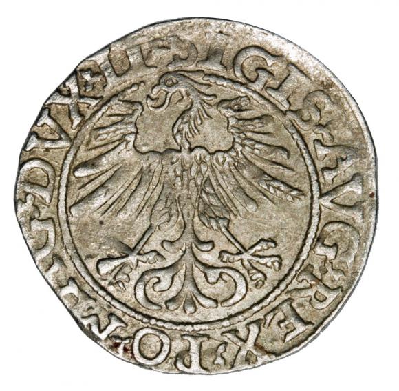 Półgrosz 1561 Zygmunt II August Litwa Wilno (2)