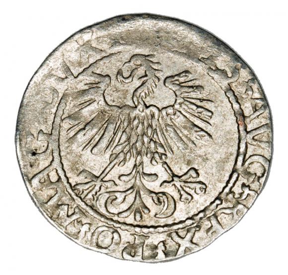 Półgrosz 1561 Zygmunt II August Litwa Wilno (2)
