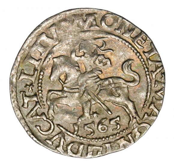 Półgrosz 1565 Zygmunt II August Litwa Wilno (1)