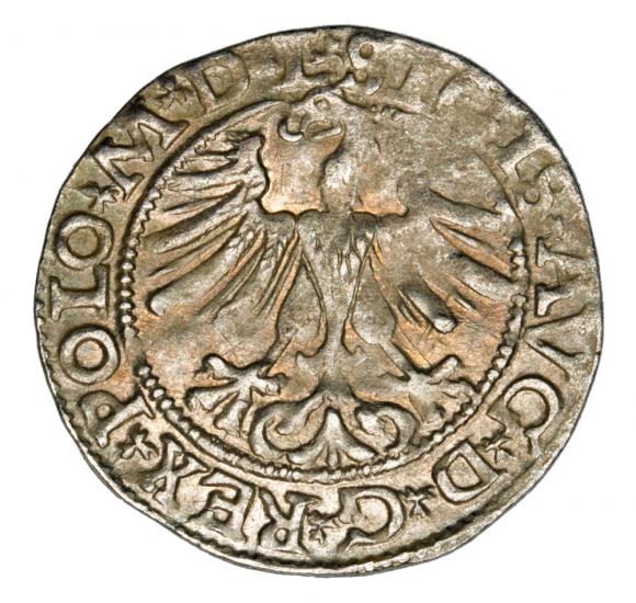 Półgrosz 1565 Zygmunt II August Litwa Wilno (2)