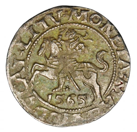 Półgrosz 1565 Zygmunt II August Litwa Wilno (1)